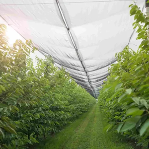 Nhà máy trực tiếp tùy chỉnh-thực hiện Polyethylene (<span class=keywords><strong>PE</strong></span>) nhựa nông nghiệp chim lưới chống mưa đá lưới - Product Image 5