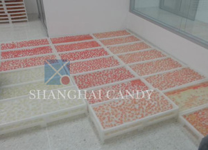 เครื่องทำขนมเยลลี่รูปตุ๊กตาหมีซีรีส์ SGDQ - Product Image 6