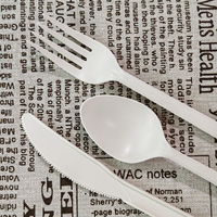 Großhandel: Preiswertes, modernes Einweg-Besteckset aus Maisstärke – Robuste, biobasierte Messer, Gabeln, Löffel für Partys, Fast Food und Takeaway