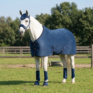 Couverture d'équitation haut de gamme personnalisable, hiver, luxe, <span class=keywords><strong>velours</strong></span>, rembourrée en coton, pour dressage, draps équestres, couverture pour chevaux - Product Image 1