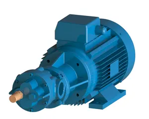 Italian Manufacturer Volumetric Bare Shaft Gear Pump Type BFC Bell-housing Transfer Viscous Liquid Stainless Steel 13 6 Cm3/rev