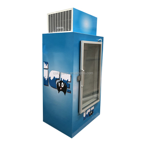 Porta di vetro singolo congelatore ghiaccio, coperta di stoccaggio di ghiaccio freezer - Product Image 2
