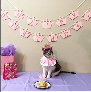 Ensemble de costumes d'<span class=keywords><strong>anniversaire</strong></span> pour animaux de compagnie, couvre-chef unisexe pour chat, écharpe en dentelle avec couronne - Product Image 3
