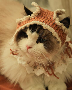 زينات عيد الميلاد المحبوكة باليد والكروشيه ، والقبعات المحبوكة ، والأوشحة العصرية مثالية لاستخدام القطط والكلاب - Product Image 4