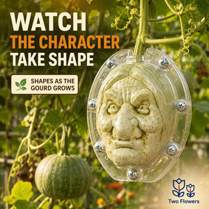 Stampo in plastica trasparente a due pezzi per la creazione di facce di strega di Halloween e per la modellatura di frutta, per progetti fai da te in giardino e decorazioni stagionali - Product Image 3