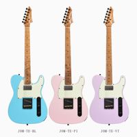 Warehouse Hot Stock Electric Guitar JOM- TE Flexible MOQ Custom Color Custom Logo for Global Music Retailers