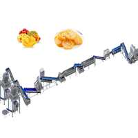 Automatische Gedroogde Groenten En Fruit Productielijn Gedehydrateerde Droge Vruchten Groenten Chips Dobbelstenen Drogen Verwerking Machine