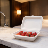 Barquette alimentaire jetable biodégradable en bagasse de canne à sucre 600 ml pour plats à emporter, barbecue, fête, camping, écologique