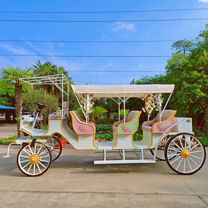 Chariot de tourisme à chevaux pour visites urbaines, faible MOQ, vente en gros - Product Image 3