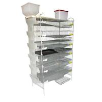 Cages en batterie de type H pour l'élevage professionnel des œufs de cailles, capacité 300 cailles/ensemble, pour la ponte, à vendre