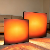 Décoration Murale Dégradée en Acrylique, Tableau Lumineux Coucher de Soleil RVB, Boîte à Lumière Intelligente Rétroéclairée