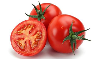 天然食品グレード抗酸化ハーブエキス トマトエキス粉末 99% リコピン ステビア＆5-HTP配合 真空パック缶入り - Product Image 3