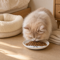 Gamelle antidérapante en céramique pour chat avec anneau de base en silicone – Assiette pour animaux de compagnie pour croquettes, friandises, aliments humides et alimentation quotidienne