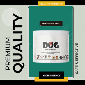 Superfood çilek, probiyotikler, glukozamin destek kalça eklem, cilt ceket, sindirim, bağışıklık sağlığı ile OEM köpek Multivitamin - Product Image 6