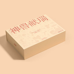 <span class=keywords><strong>2025</strong></span> Thời Trang Mới Tùy Chỉnh Sang Trọng Trang Phục Bao Bì Hộp Cứng Nhắc Bìa Quần Áo/Giày Từ Hộp Quà Tặng - Product Image 5