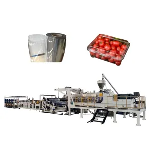 Single Twin Double Screw Extruder Plastic APET PETG PLA PP ABS PET Sheet Making Machine