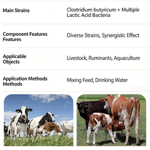 Probióticos Líquidos Multi <span class=keywords><strong>para</strong></span> Cerdos, Ayuda Digestiva Natural, Suplemento Alimenticio, Aminoácidos de Grado Alimenticio <span class=keywords><strong>para</strong></span> la Microbiota Intestinal - Product Image 3