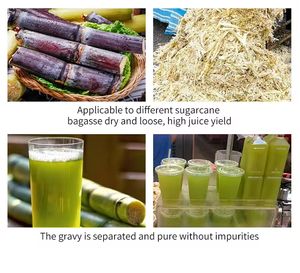 Máquina Industrial para Extractor de Caña de Azúcar, Eficiente y a <span class=keywords><strong>Precio</strong></span> Económico - Product Image 6
