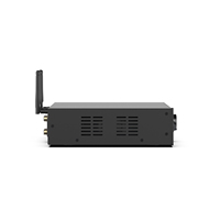 A100 100W * 2 güç amplifikatörü mikrofon girişi Internet FM radyo sistemi ev sineması