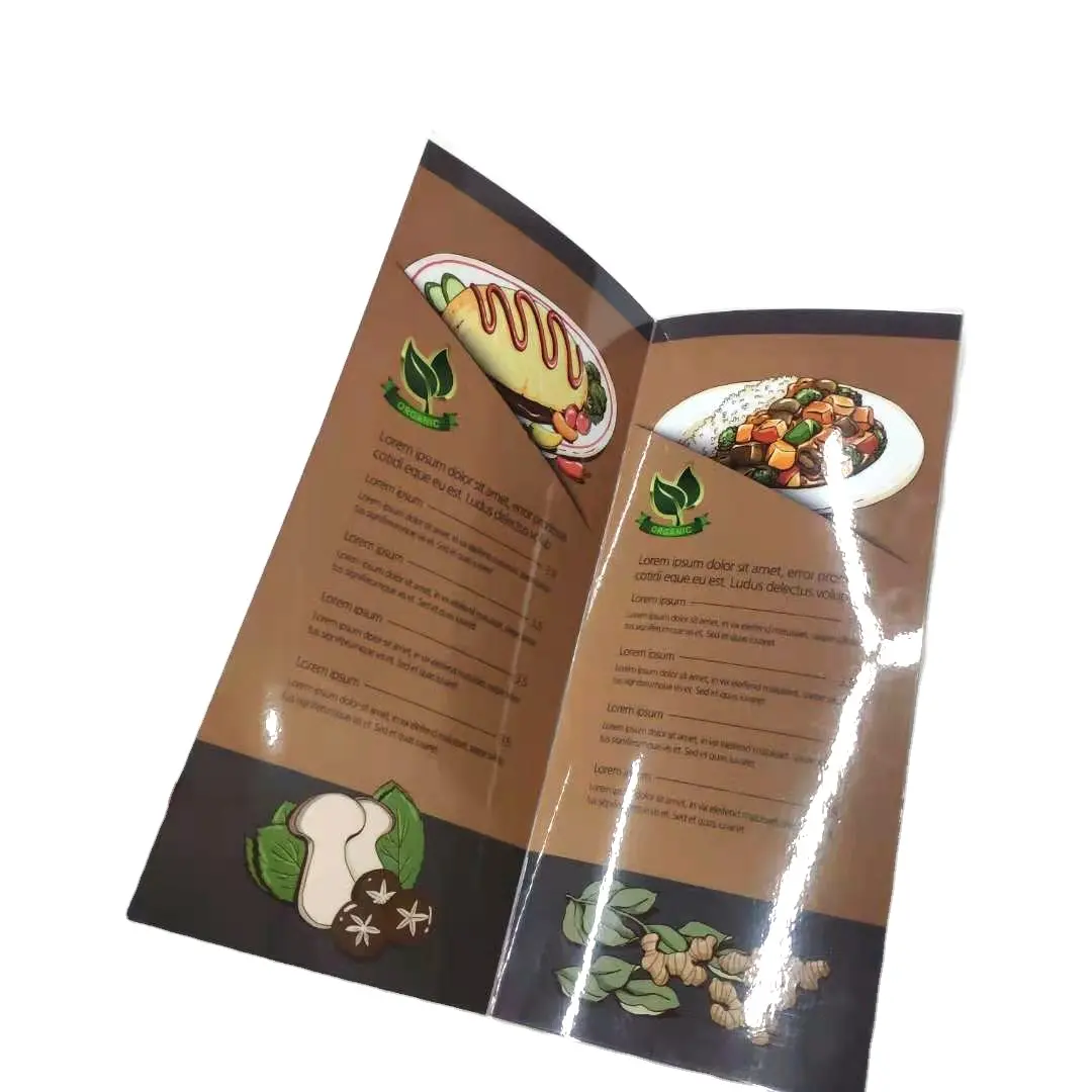 Factory Custom cheap high quality Design Printing Service/Flyer/Brochure/Catalog Printing Instruction Manual/menu Printing