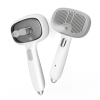 Nouvelle brosse à poils pour animaux de compagnie avec fonction d'auto-nettoyage et ions négatifs, vaporisateur d'eau et brosse lissante pour chat