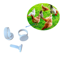 Étiquette électronique RFID UHF EM4305 920-925/865-868 MHz, réglable, pour pattes d'animaux, bague pour pattes de poulet, gestion de l'élevage de volailles, étanche