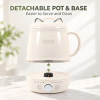 Marmite Électrique Multifonctionnelle 1L : Hot Pot, Cuiseur à Nouilles, Soupe, Porridge, Cuiseur à Riz, Chauffe-Lait avec Présédition 24H et Fonction Maintien au Chaud