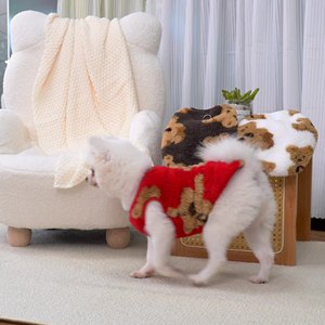 Costume de chien en peluche double face Cute Winter Warm Soft Knitted Pet Dog Sweater XS-8XL Autumn Winter Season for Dogs - Product Image 1