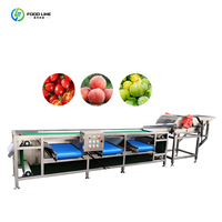 Fijne sorteerder voor voedsel, speciale fruitsorteermachine, stabiele werking, machine voor het sorteren van vers voedsel