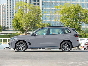 BMW <span class=keywords><strong>X5</strong></span> SUV <span class=keywords><strong>de</strong></span> <span class=keywords><strong>Segunda</strong></span> <span class=keywords><strong>Mano</strong></span>, 3.0T Turbo, 8AT Automático, 5 Puertas, 5 Asientos, Volante a la Izquierda, Euro VI, Ejecutivo, Usado, en Buenas Condiciones - Product Image 6