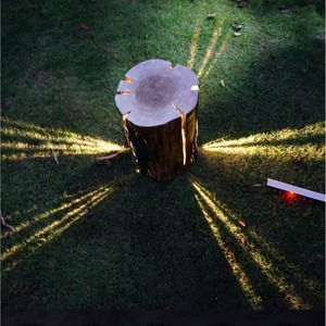 Garden Resin <b>Tree</b> Stump <b>Light</b> IP65 LED 2700K Soft Warm White Outdoor Landscape Lighting For Garden Patio Deck - Product Image 1