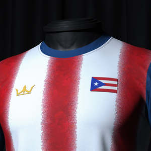 Camiseta de Fútbol Personalizada 2024 de Alta Calidad con Logotipo, Nombre y Número Impresos, Diseño del Club Nacional de Puerto Rico, Ropa Deportiva de Fútbol - Product Image 5