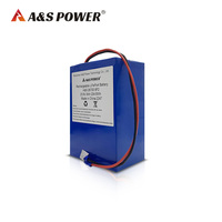 Paquete de Baterías Personalizado de 8S2P de 25.6V y 8000mAh de LiFePO4 para Equipos de Comunicación