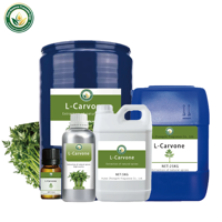 Fornitura Diretta Fabbrica L-Carvone 99% Prezzo all'Ingrosso CAS99-49-0 Aroma Menta Piperita Grado Alimentare per Deodorante Orale Fragranza Tabacco OEM Bulk