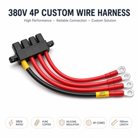 EVR 10mm2 Kabel Daya Tahan Suhu Tinggi 1500V 30kW Rakitan Kabel Pusat Data AI Terminal Cincin M8 Kustom