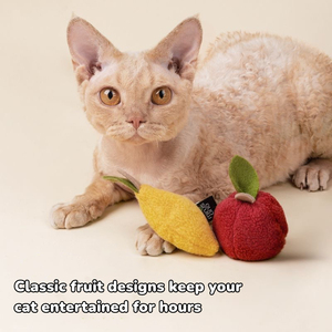 Jouet pour chat Minusone Fruit Design en forme de citron, pomme, avocat, banane, raisin, cerise, champignon, pour soulager l'anxiété des oiseaux, rembourré de catnip - Product Image 2
