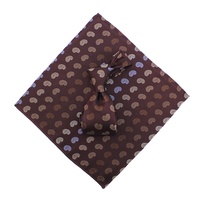 Ensemble cravate et pochette de costume sur mesure en gros, élégant, 100% soie jacquard tissée, motifs Paisley bordeaux, beige, bleu, or pour homme