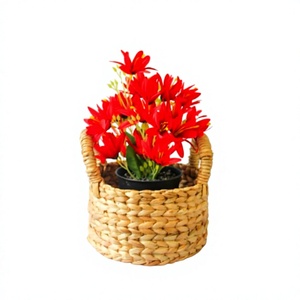 AKASA D20 Handmade Woven Storage <b>Basket</b> Seagrass <b>Plant</b> Pot Cover Decorative <b>Basket</b> Natural Wicker Organizer Laundry <b>Basket</b> Home - Product Image 3