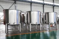 Nouvel équipement de fermentation Tonsen pour la bière avec cuve sous pression et pompe PLC - Capacité 1000L pour usage domestique