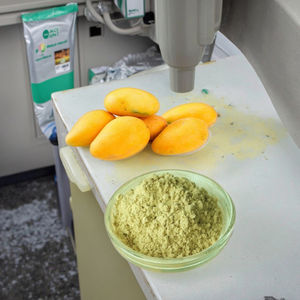 אבקת תמצית עלי מנגו 95% מנגיפרין נבדקה ב-HPLC ארוזה בוואקום באריזת תוף תוסף תזונה - Product Image 3