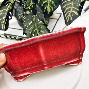 Macetas de Jardín de Cerámica Ecológicas, Ligeras, de Color Rojo, con Acabado Esmaltado, Orificio de Drenaje, para Plantas de Interior, Bonsáis, Estilo Yi <span class=keywords><strong>Xing</strong></span> - Product Image 3