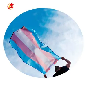 Bendera Pelangi Garis Biru Merah Muda Poliester Kustom Laris 3X5 Kaki 90X150Cm Bendera Transgender Nano Kebanggaan Bendera LGBT untuk Dekorasi