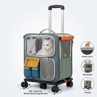 Sac de transport portable pour animaux de compagnie, souple, transparent, carré, pour chat, avec roues rotatives à 360 degrés, poignée détachable et fermeture éclair