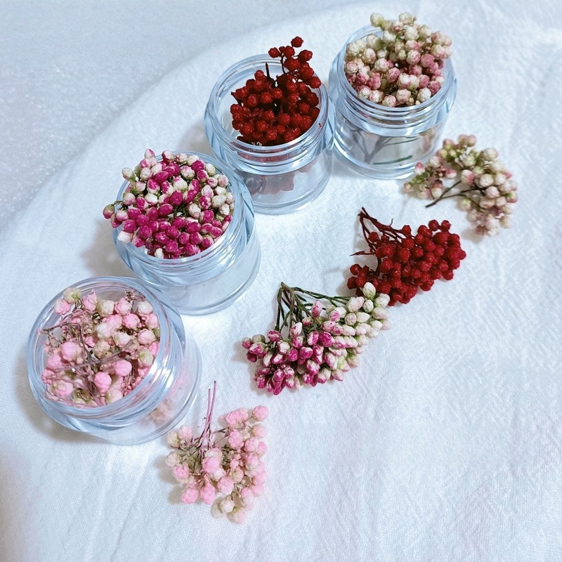 Nail Art Monet Garden Dried Flower