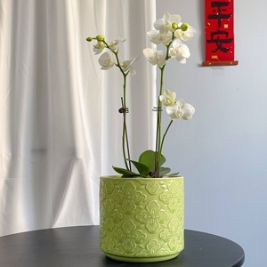 Pot de fleurs en céramique de style nordique, fait main et unique, avec glaçure simple en relief et design de pot à orchidées, pour utilisation au sol - Product Image 2