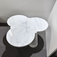 Table d'appoint en marbre blanc Calacatta Table basse classique en pierre naturelle flocon de neige Hôtels Villas Meubles traditionnels coupés à la taille