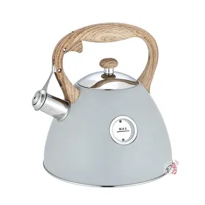 Realwin New Design Stainless Steel 3.0L Water Kettle Tea Kettle Whistling Kettle For Home Kitchen