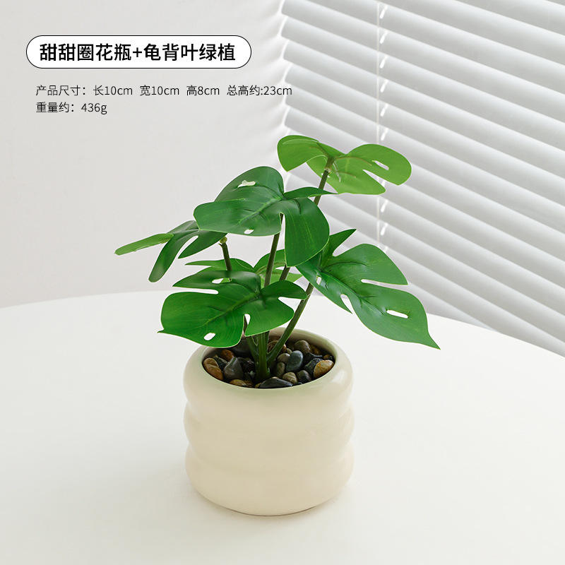 แจกันโดนัท ใบมอนสเตอร่า ต้นไม้สีเขียว