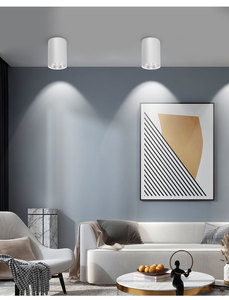 Faretto <span class=keywords><strong>LED</strong></span> da 12W a Sospensione o Montaggio a Superficie, Cilindrico in Alluminio, Include Kit di Installazione, Faretto da Incasso a Soffitto - Product Image 6