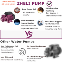 Pompe à eau électrique monophasée High Lift 0.5hp Irrigation de jardin propre avec périphérique de surface à haute pression/Style Vortex